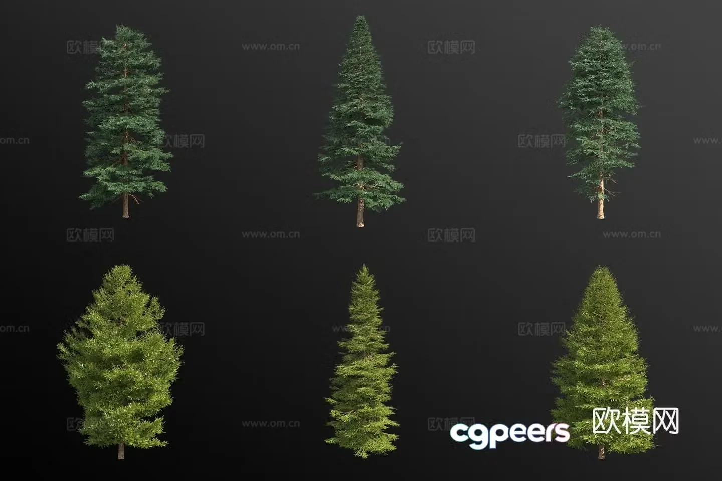 red spruce landscape tree 3d model