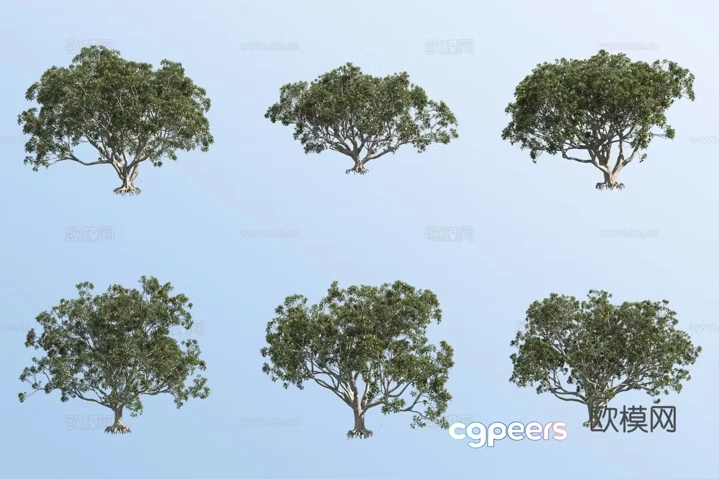 Big leaf banyan black tiger tree 3d model
