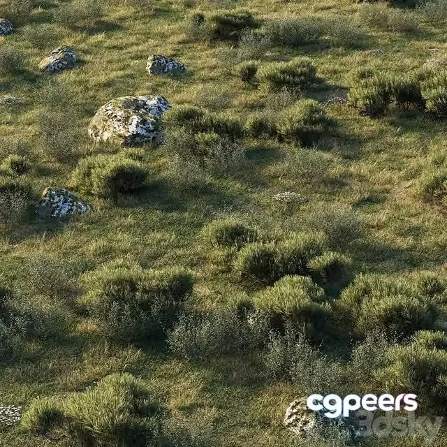 3ds Max Free – forest landscape