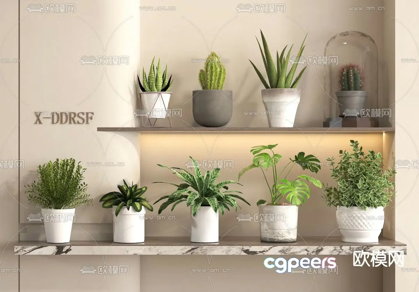 Desktop potted plants green plants balcony plants 3D model