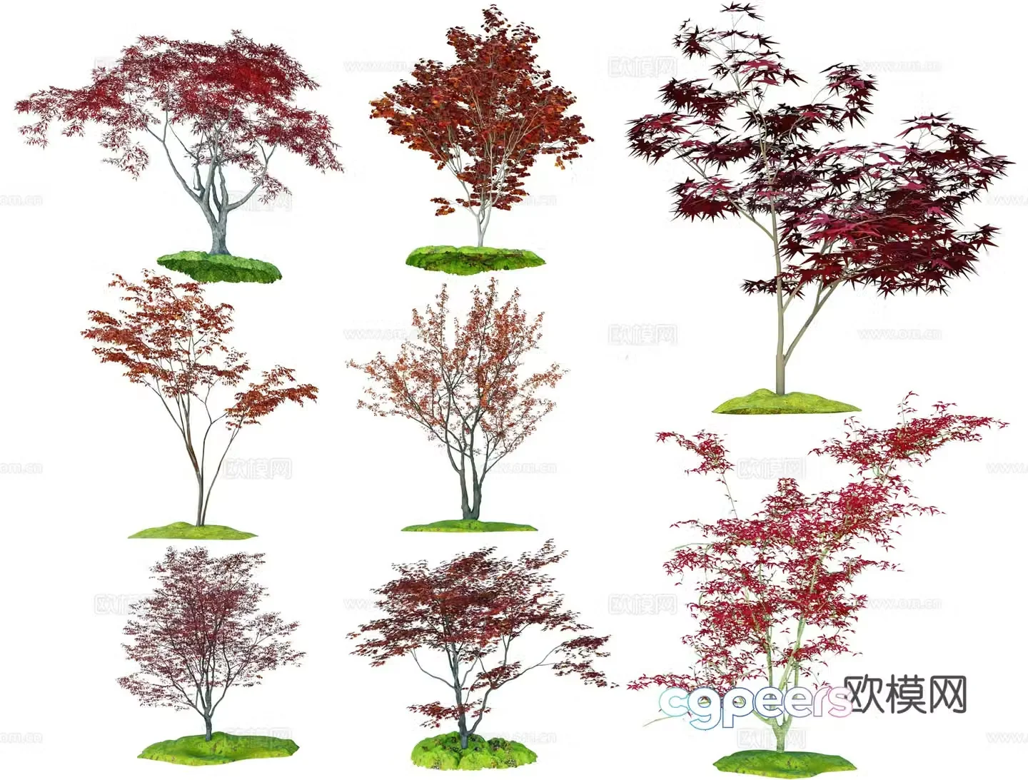 red maple maple red leaf tree maple leaf tree maple tree 3d model
