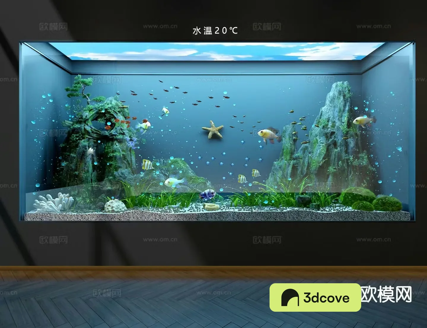 Ecological fish tank aquarium