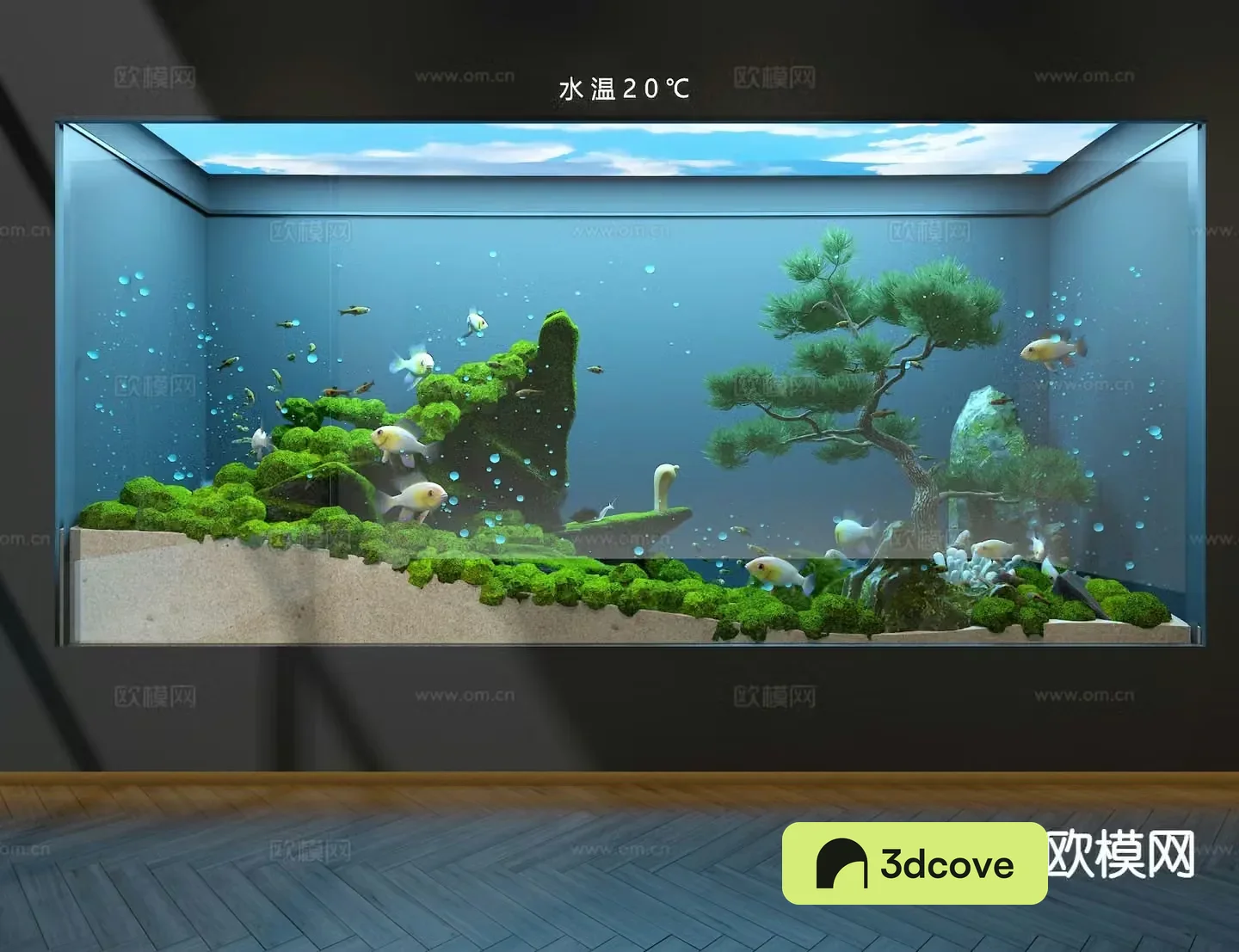 Ecological fish tank aquarium
