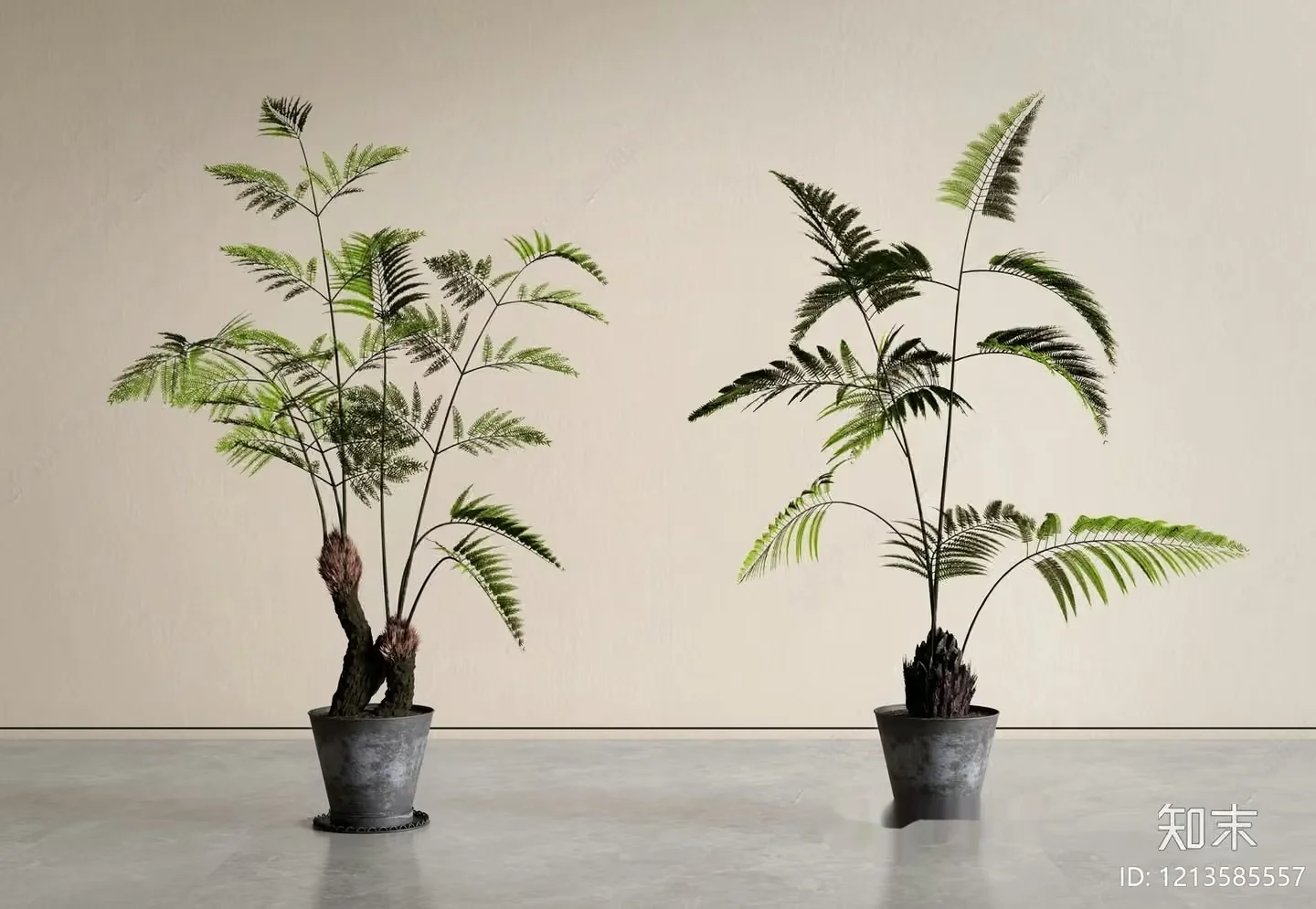 Two Potted Plants 3D Model – 16076 – VRAY Render