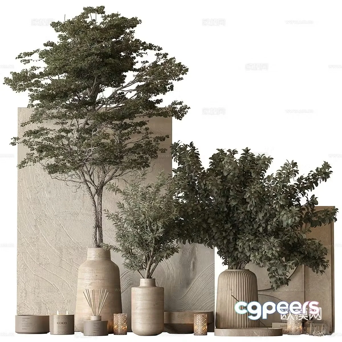 Green plant bonsai potted plant 3d model