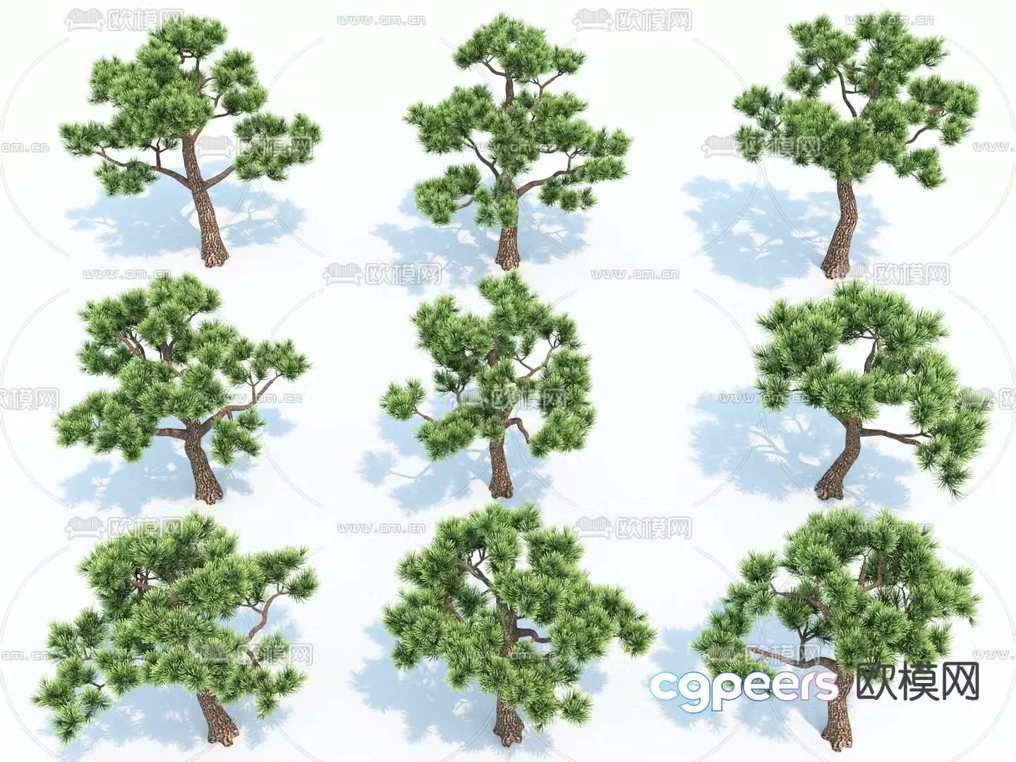 Modern Trees 3d Model