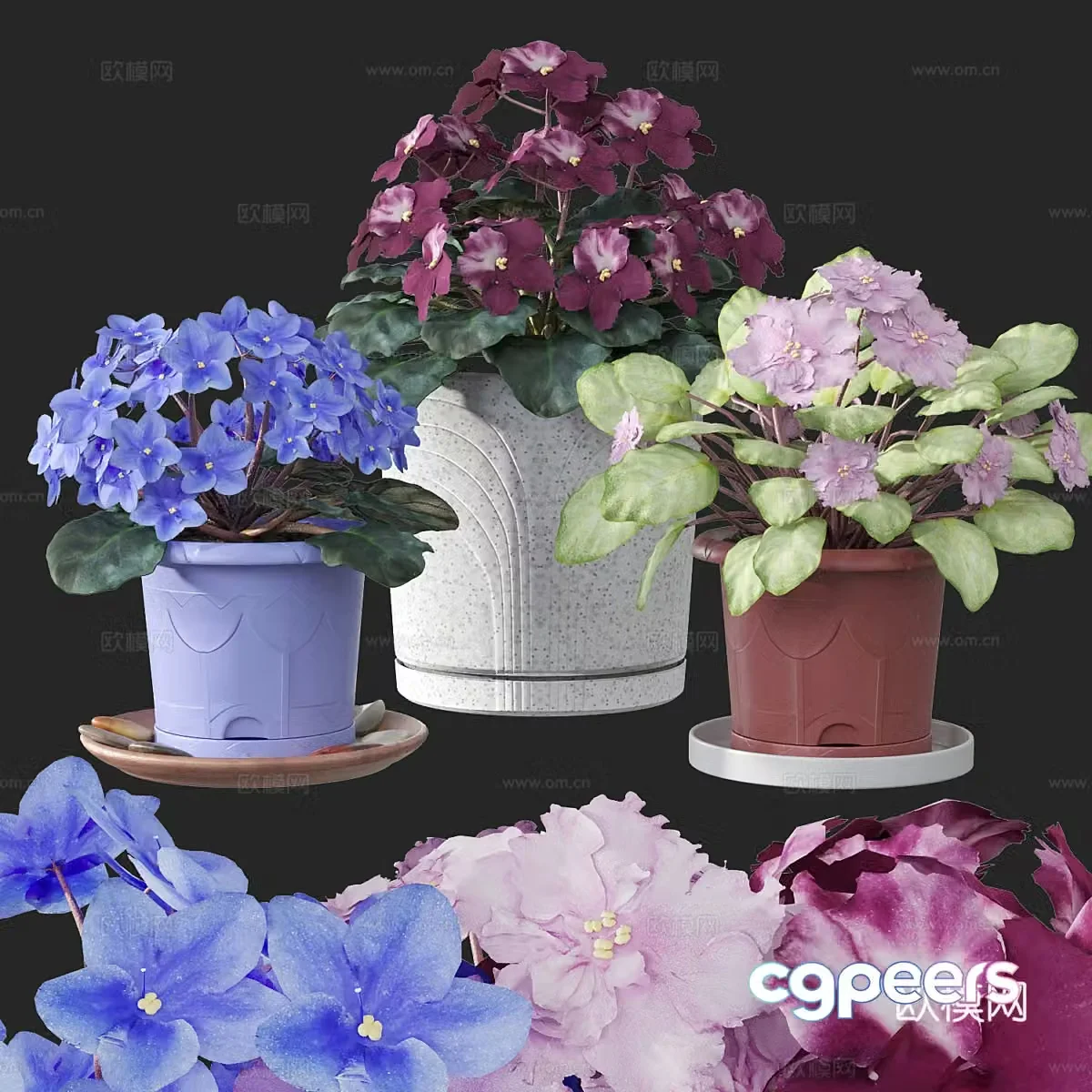 Flower pot Violet 3d model