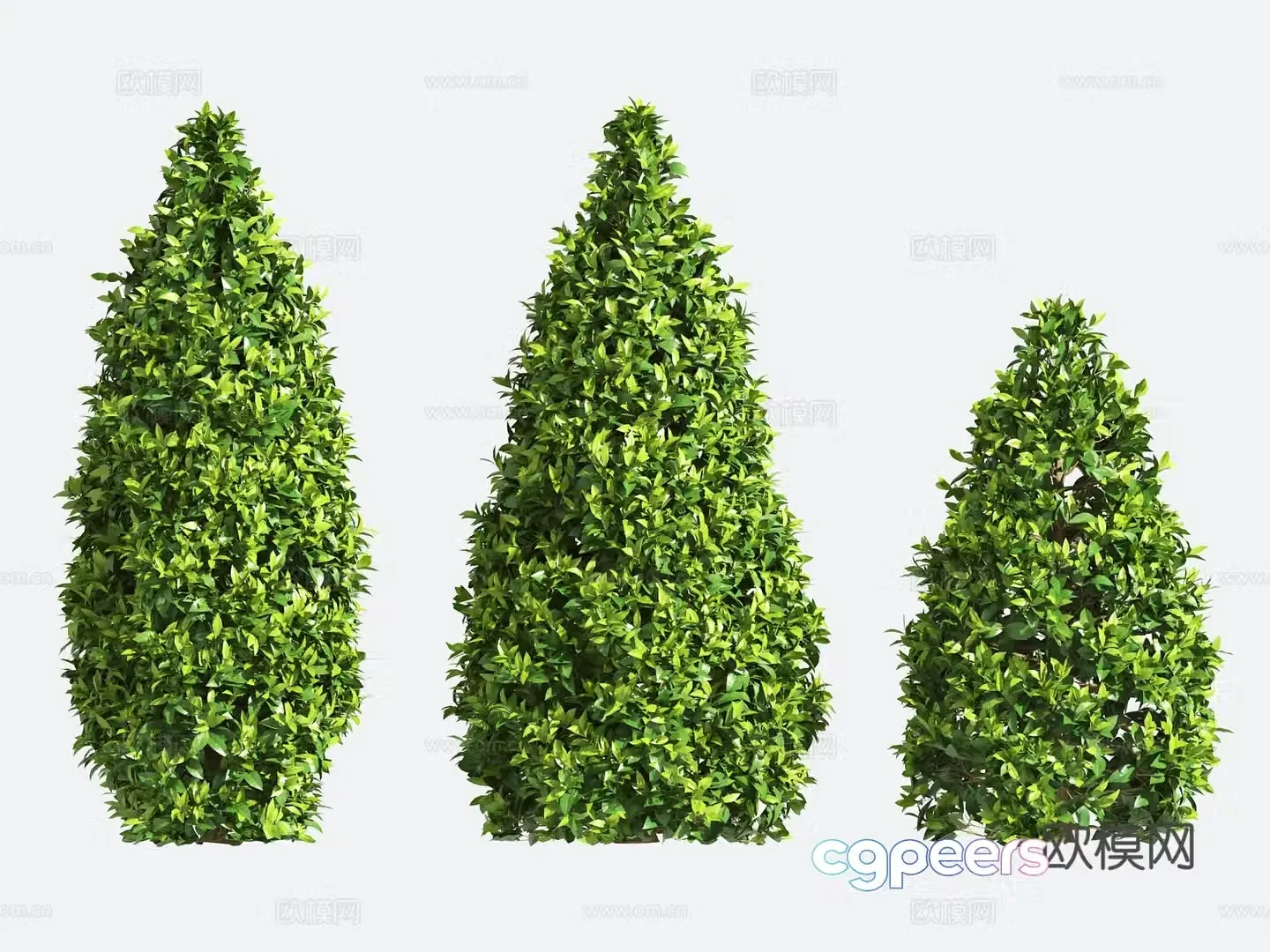 Ornamental Plant Modeling Tree Gardening Shrub 3D Model