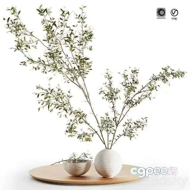 3ds Max Free – Pulm Branch in White Vase Set3