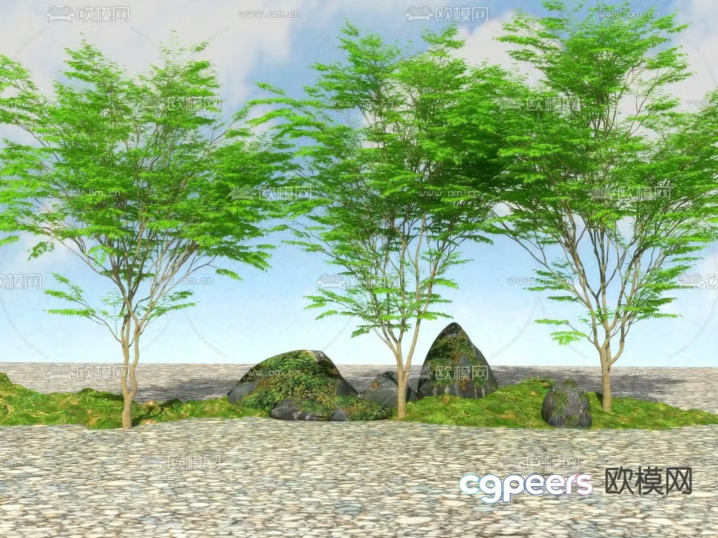 Landscape tree Big tree Maple claw 3d model