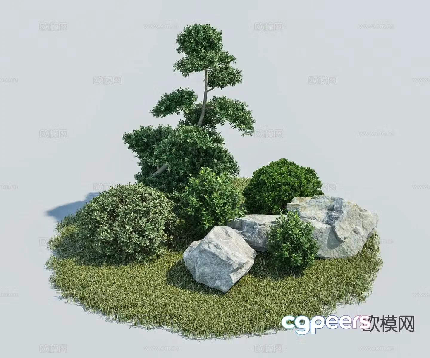 3D model of garden green plant sketch