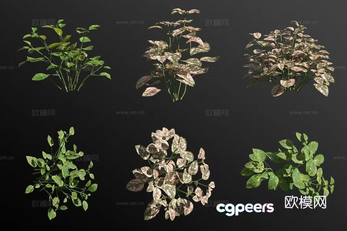 3D model of white vine shrubs and green plants