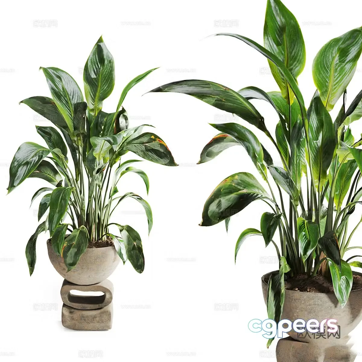 New Chinese style stone pot green plant pot 3D model