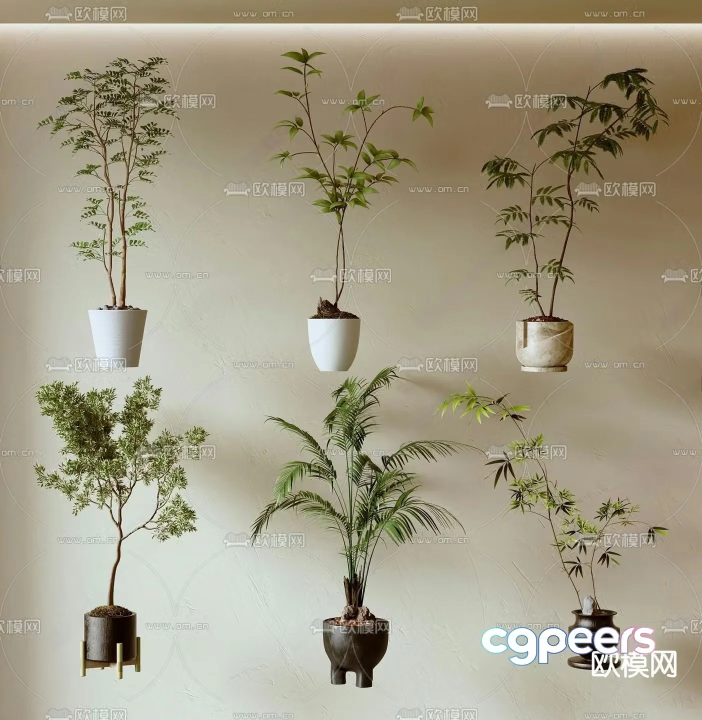 Green plants Potted plants Bonsai 3D model