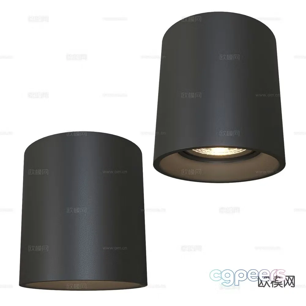DENKIRS surface mounted downlight spotlight 3d model
