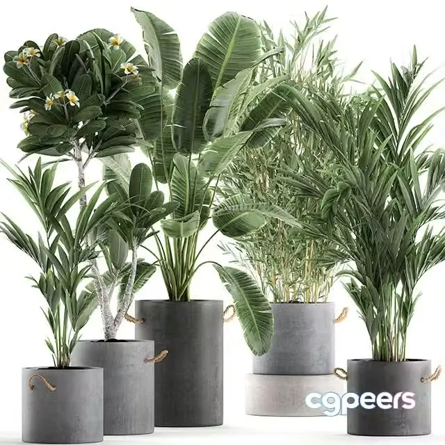 3ds Max Free – Plant Collection 597