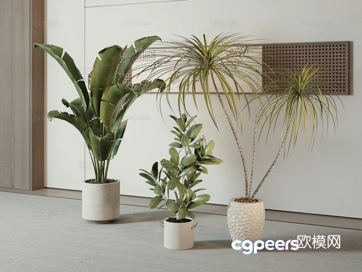 Modern green plant potted 3D model
