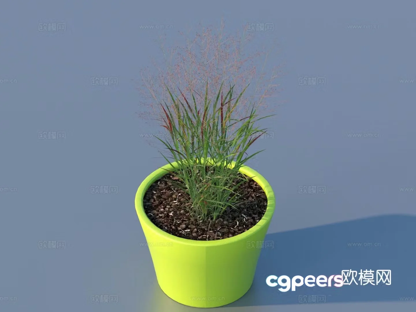 Flower pot pot green plants plant 3d model
