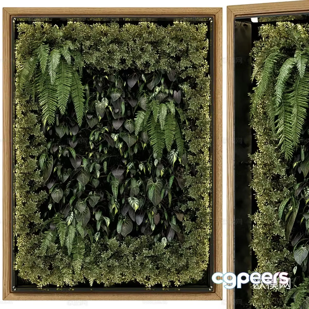 Green plant wall 3d model