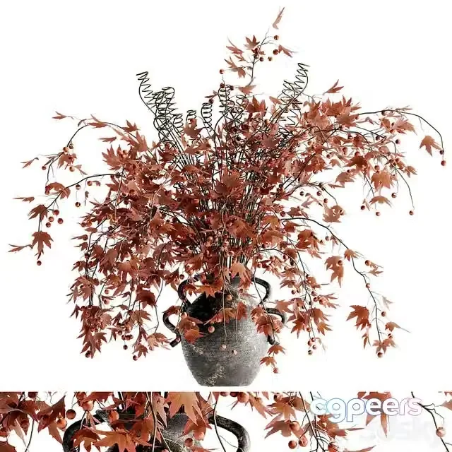 3ds Max Free – Red Maple Bouquet 04