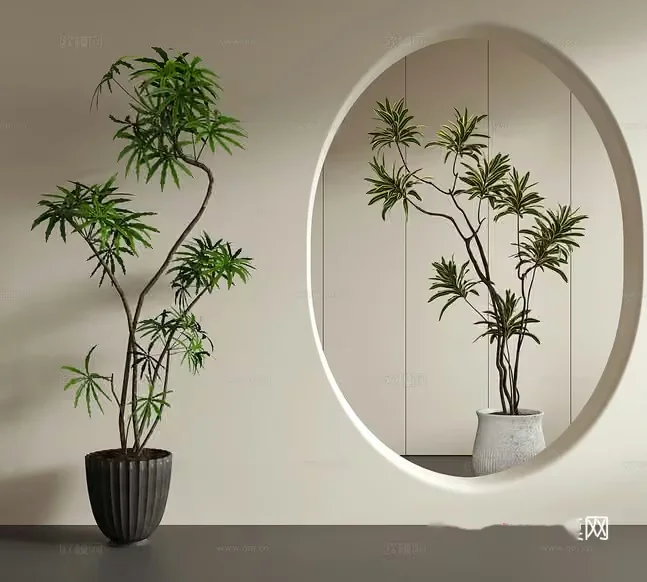 Two Potted Plants 3D Model – 10285 – VRAY Render