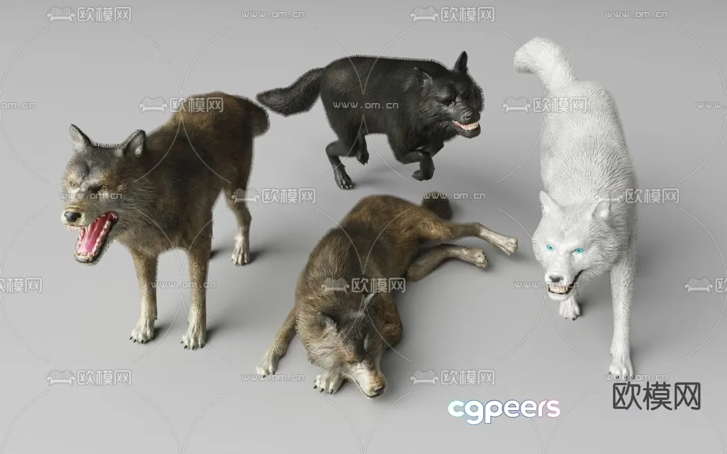 A Group Of Wolves 3D Model – 12423 – VRAY Render