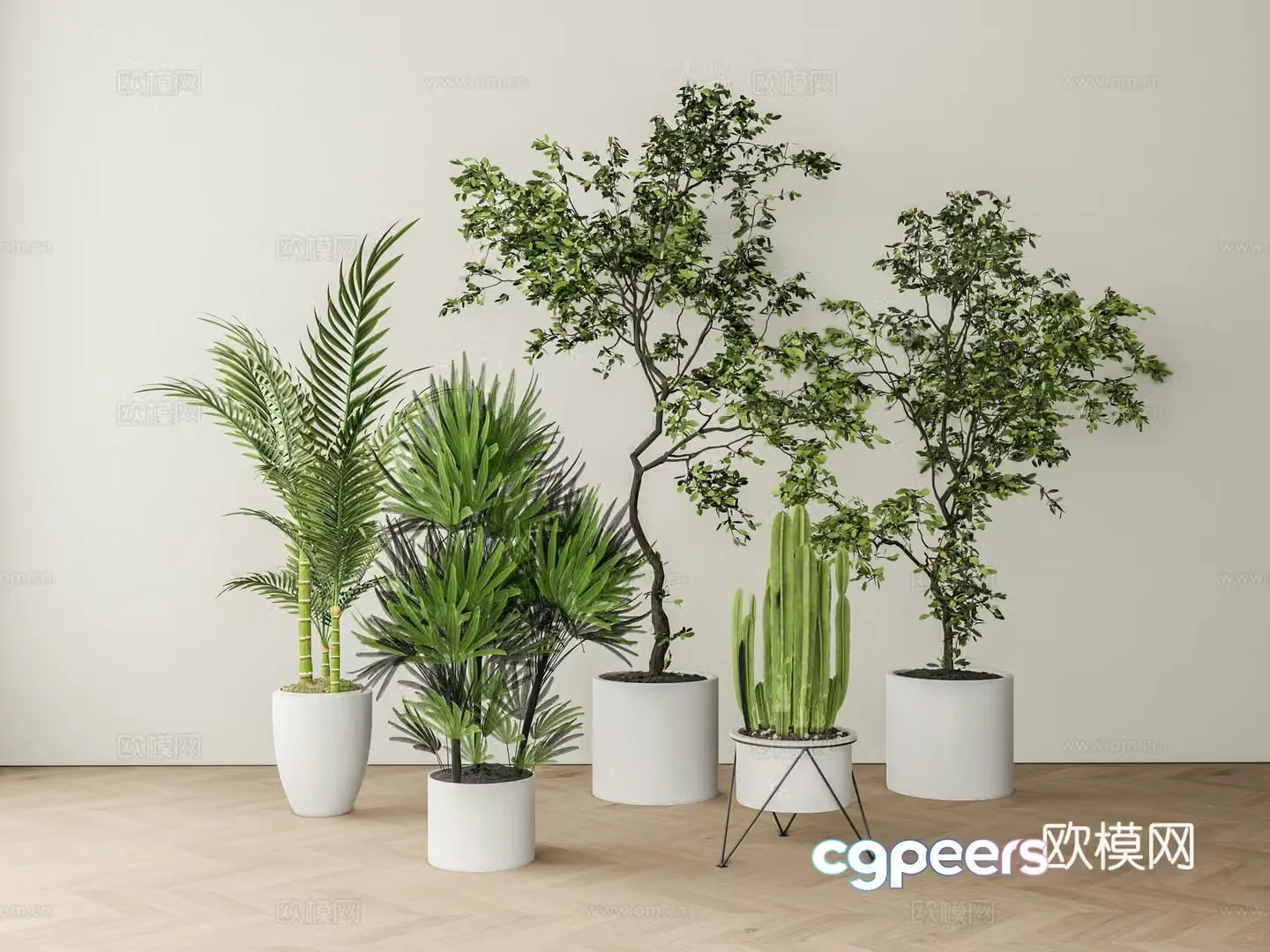 Modern green plant potted 3D model