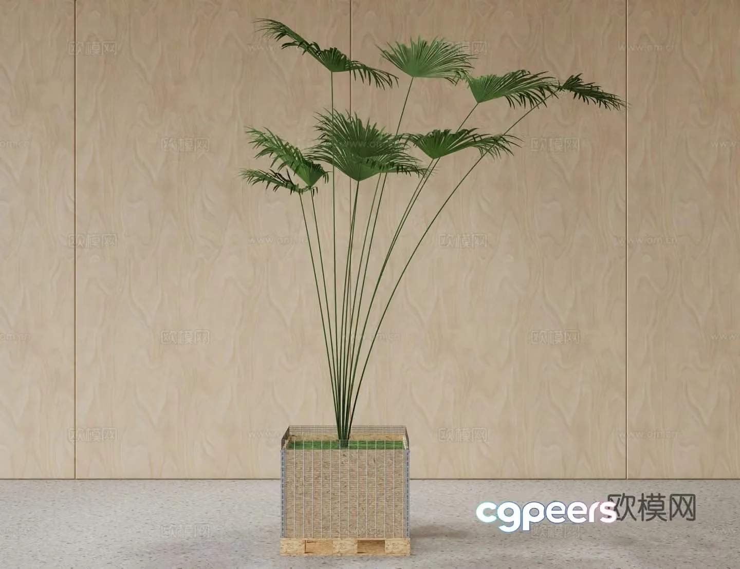 Green plant potted flower pot 3d model
