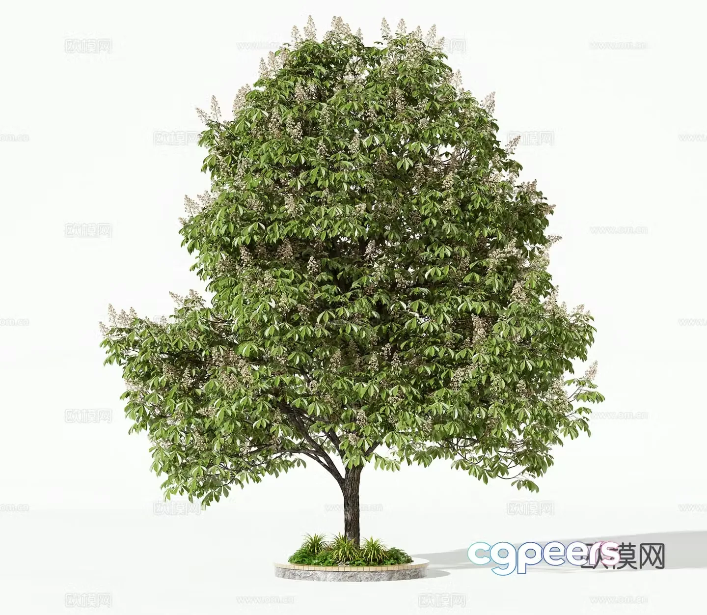 Modern trees landscape tree 3d model