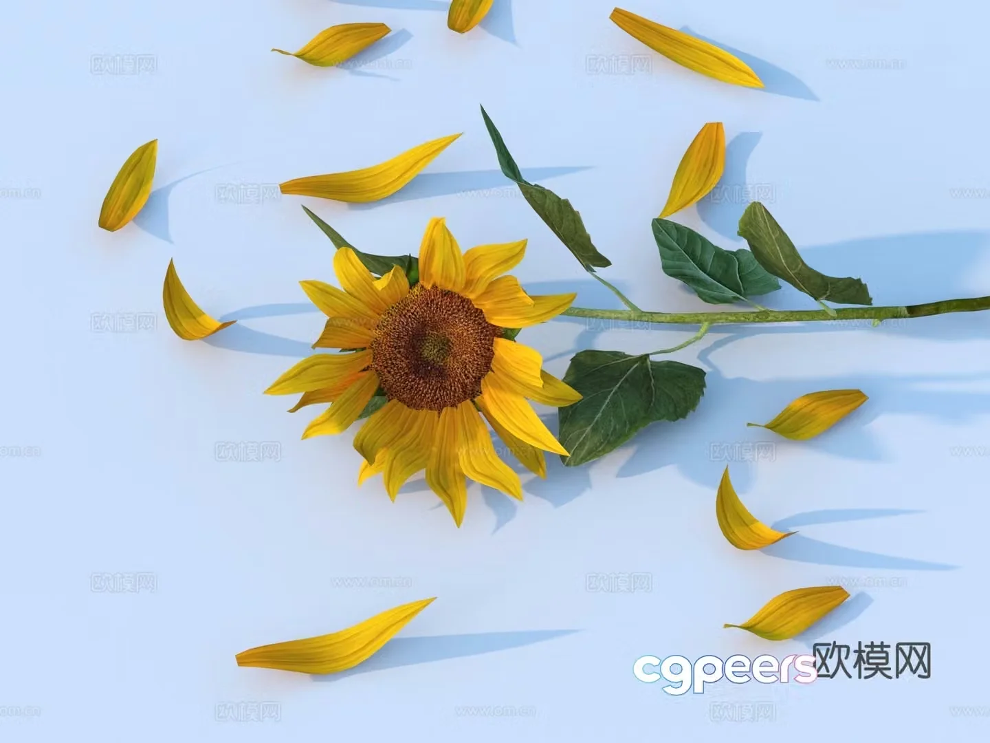 sunflower petals flower 3d model