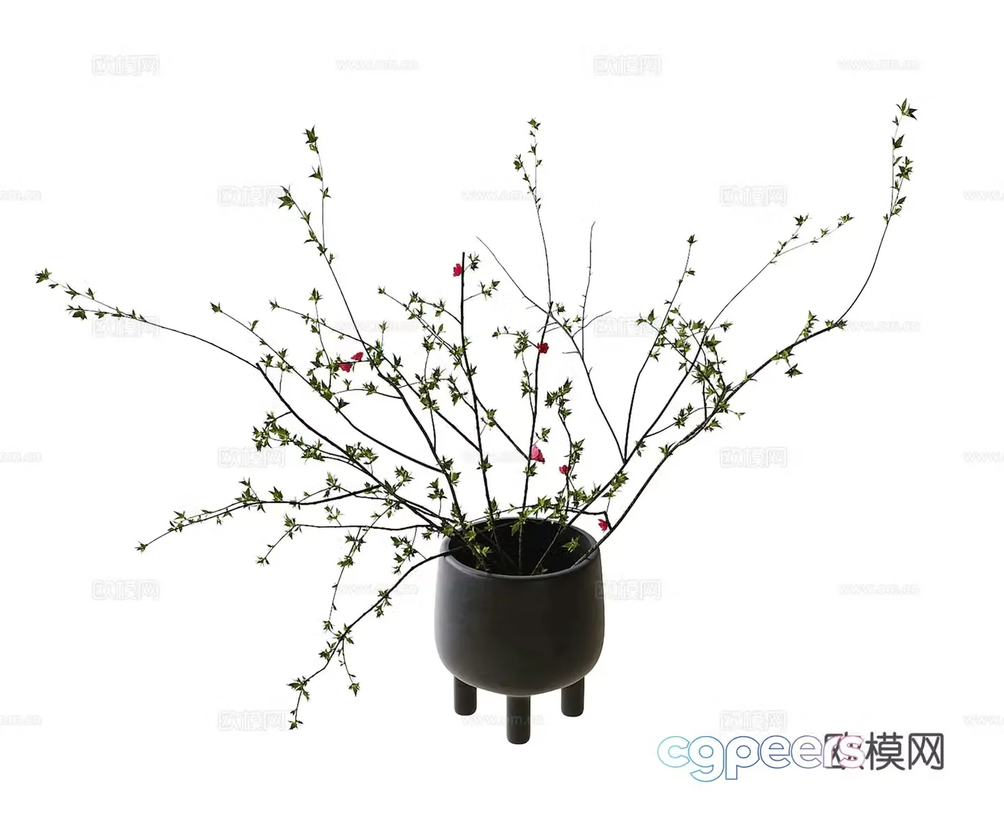 modern vase flower arrangement floral 3d model