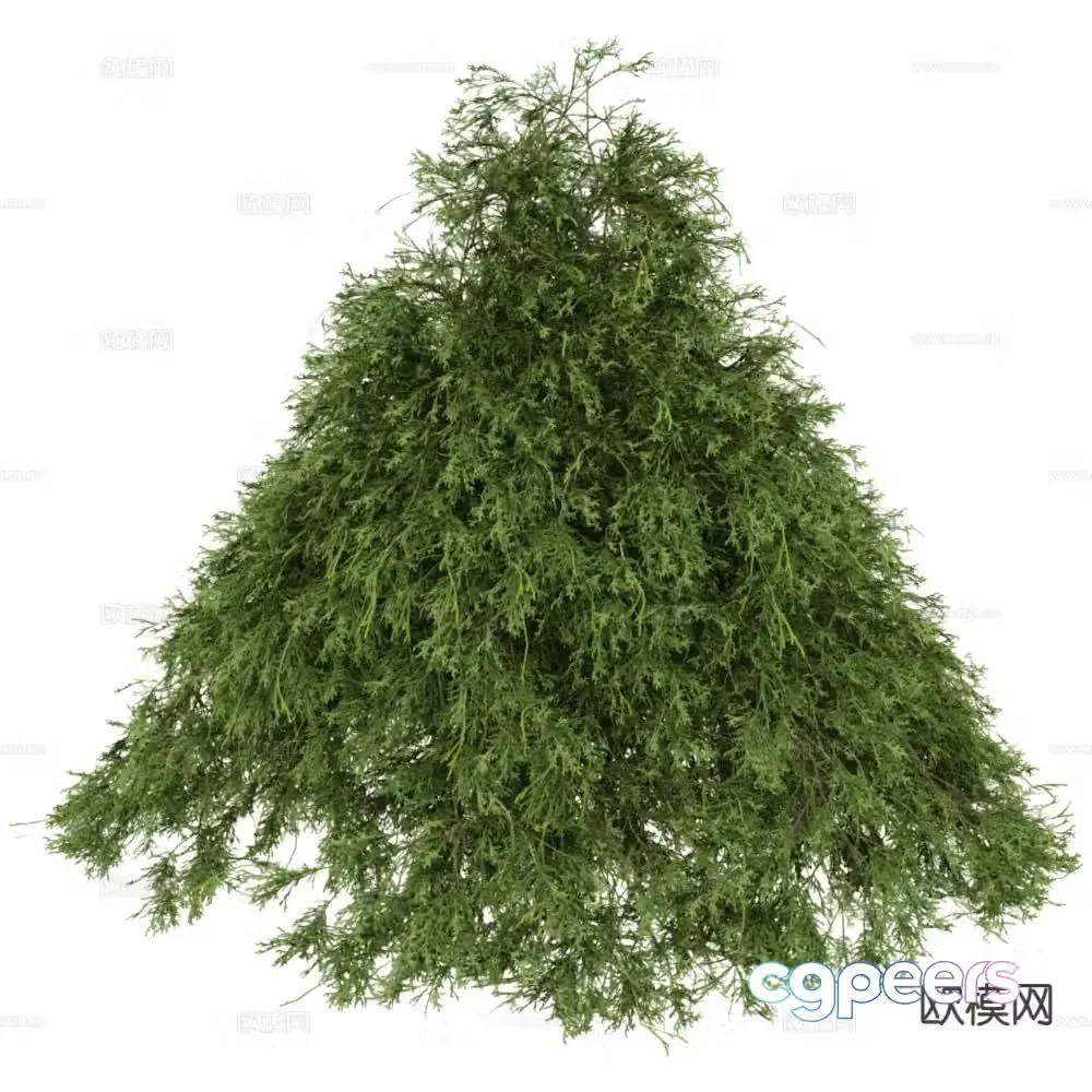 Modern shrub plant 3d model