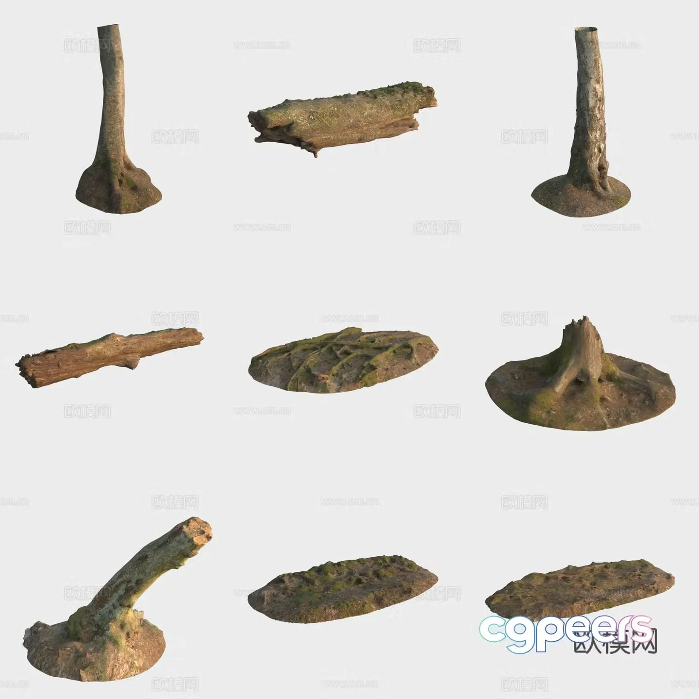 3d model of trunk branches stump