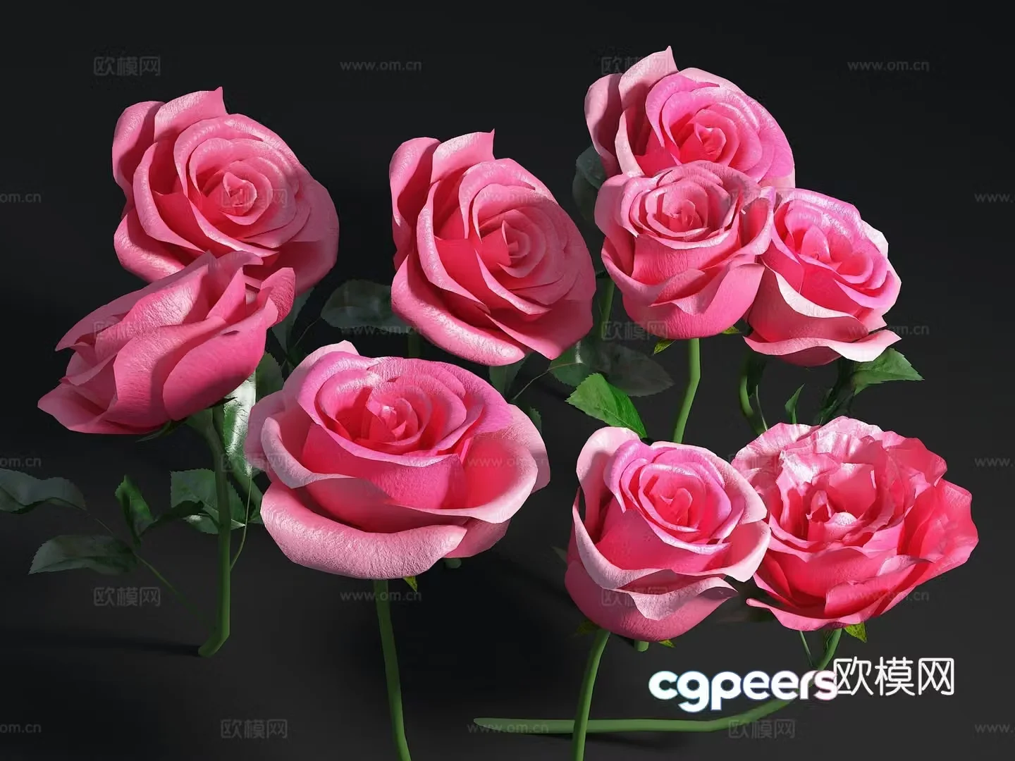 Flowers Rose Peony Red Flowers Flowers Flowers 3D Model