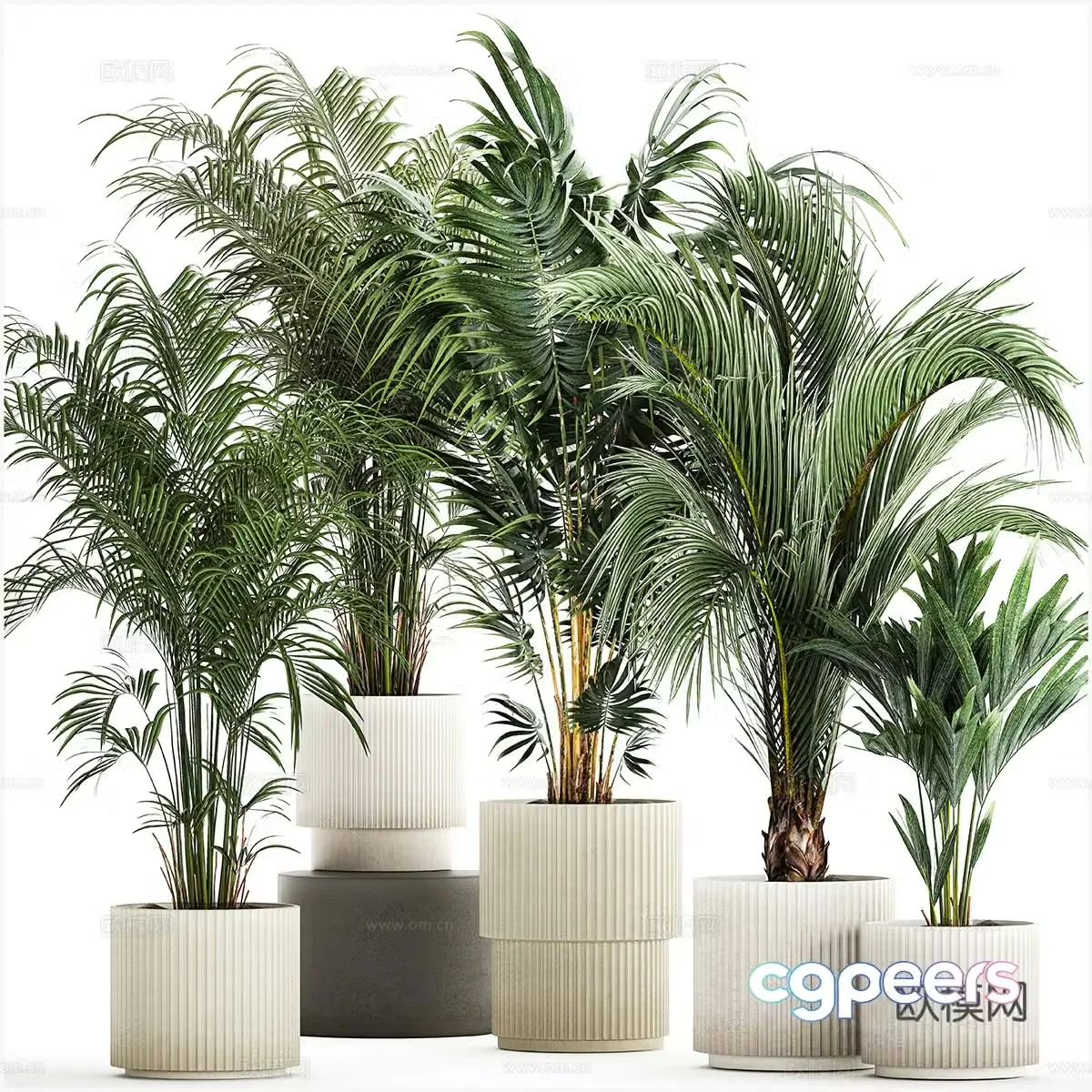 Green plants Potted plants Scattered tail sunflower flower pot 3d model