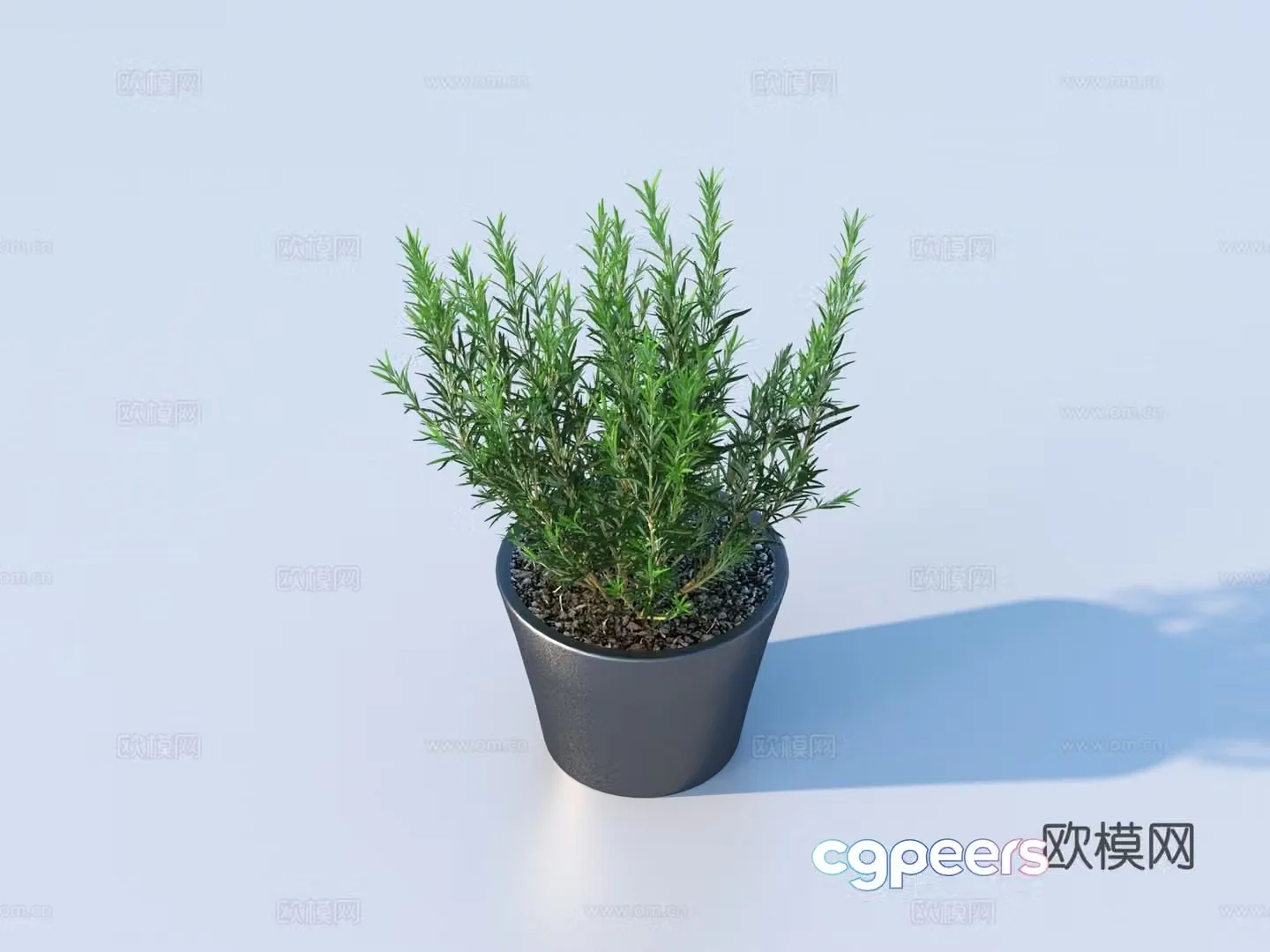 flowerpot potted plant green plant plant 3d model