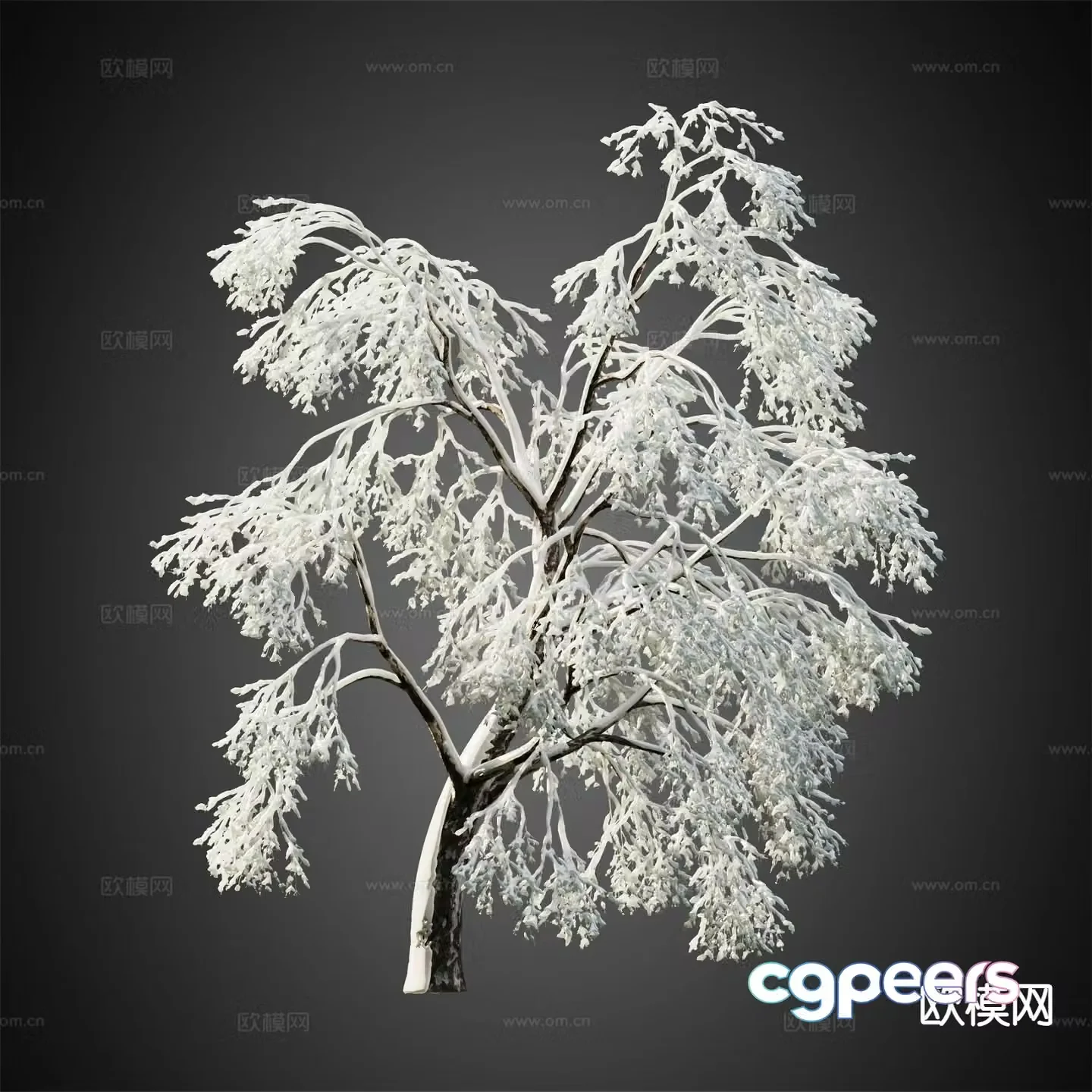 Snow-covered trees Winter trees Landscape trees 3d model