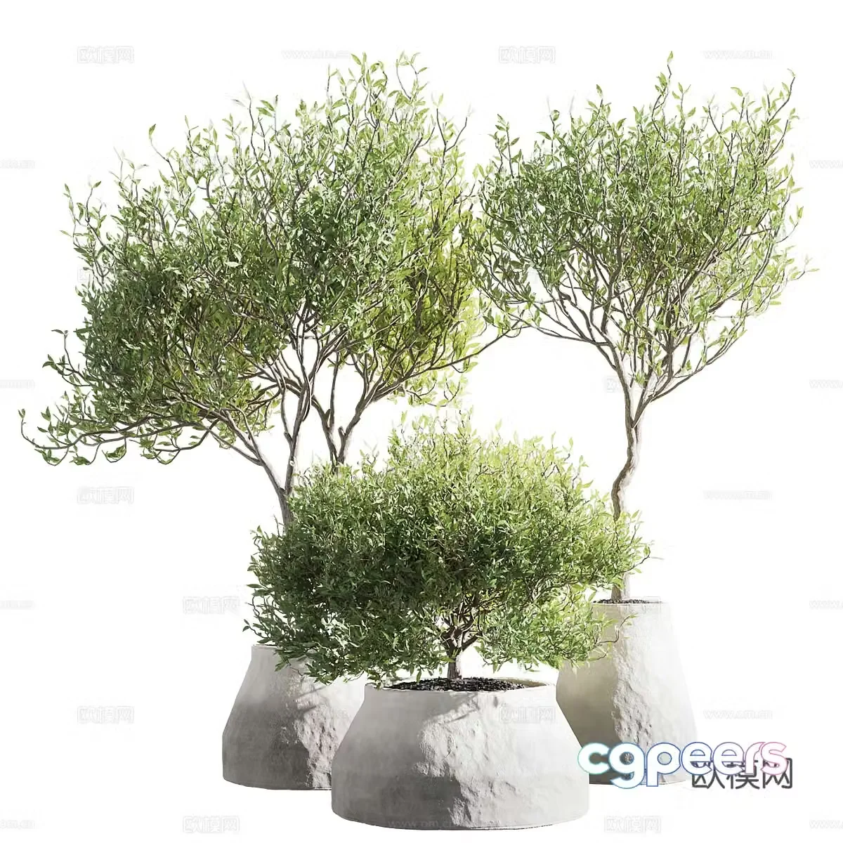 New Chinese green plant potted 3D model