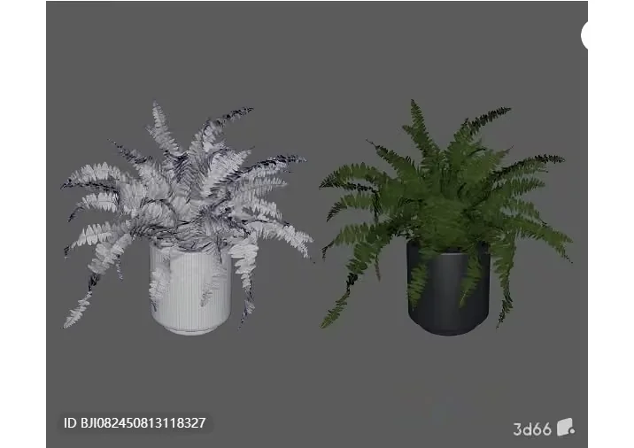 Fern In A Pot 3D Model – 546 – VRAY Render