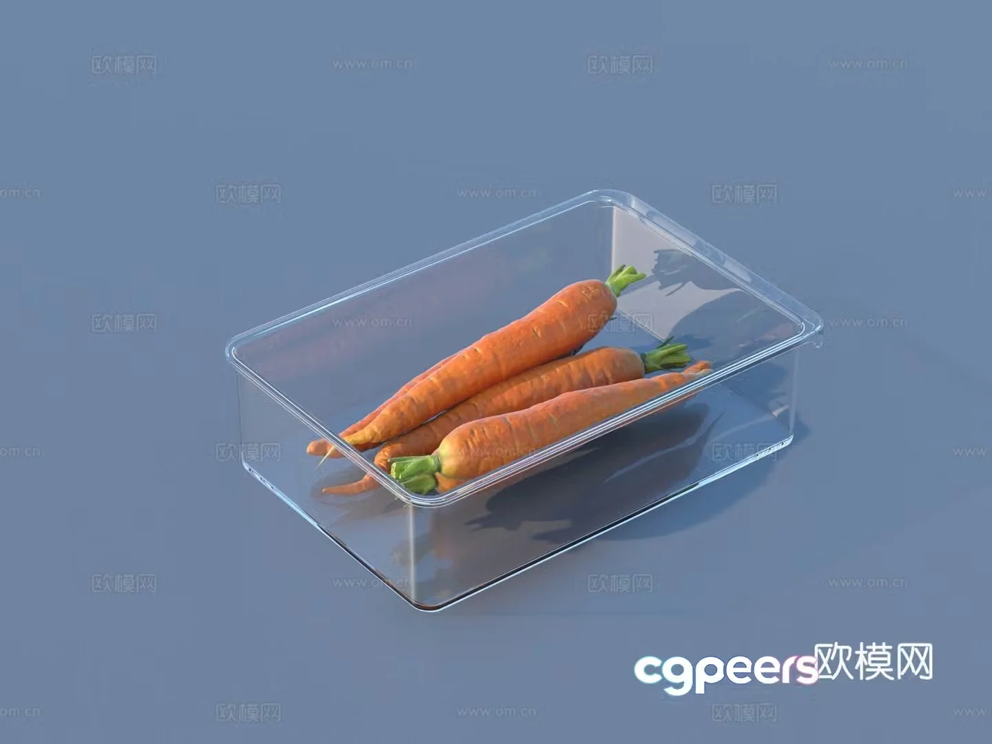 Carrot lunch box lunch box lunch box lunch box box 3d model
