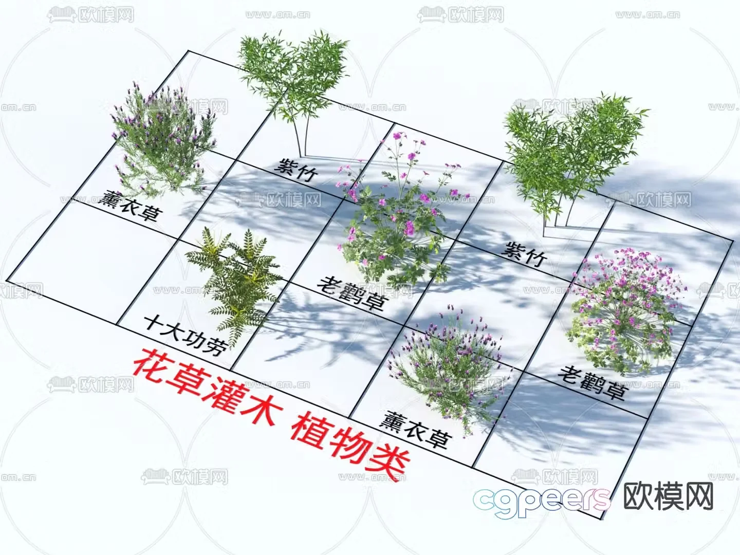 Top 10 Credits Lavender Geranium Purple Bamboo Shrub Flowers and Grass 3D Model