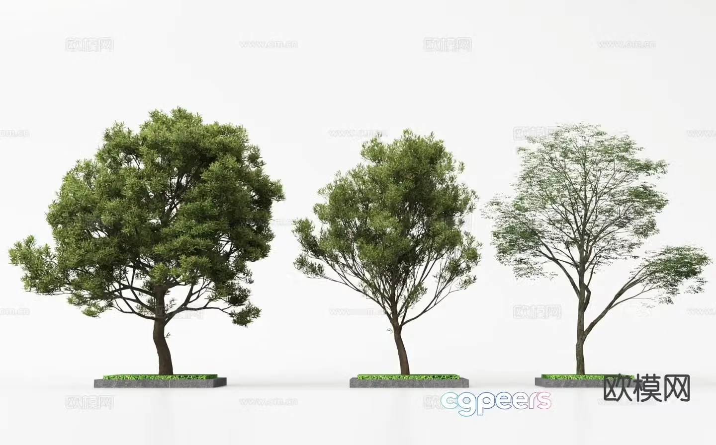Modern landscape tree garden tree tree tree 3d model