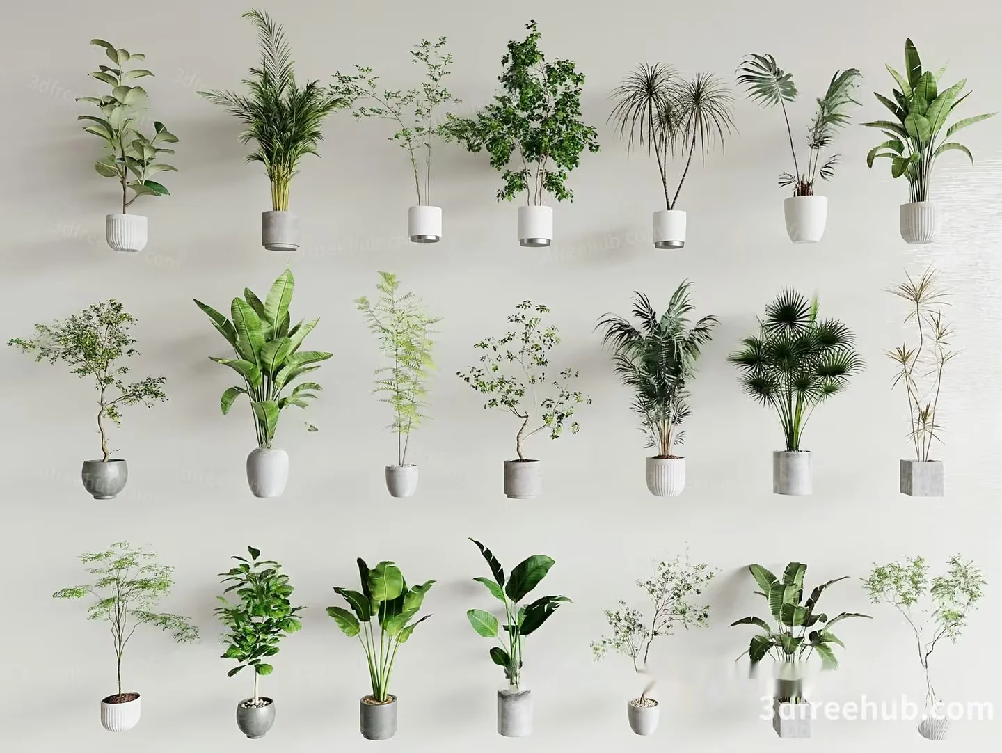 Potted Plants 3D Model – 14183 – VRAY Render