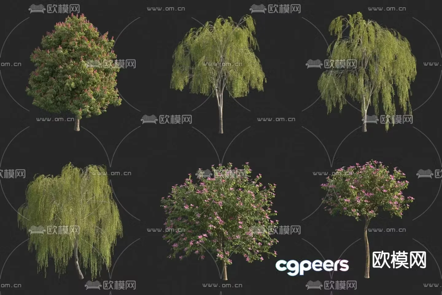 Willow Flower Tree Red Flower Sheep Armor Bauhinia Red Flower Buckeye 3D Model