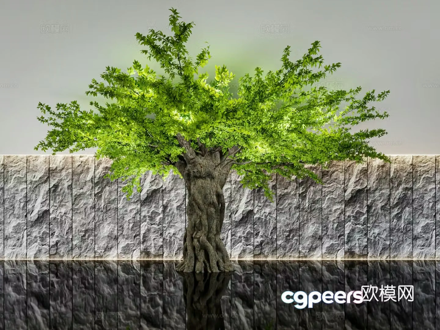 Big tree green plants landscape tree 3d model