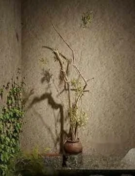 A Clay Vase 3D Model – 3072 – VRAY Render