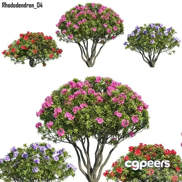 3ds Max Free – Rhododendron 04