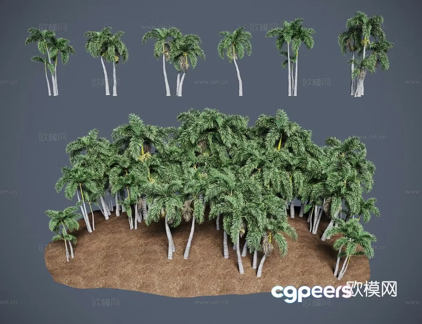 Modern landscape tree fox tail coconut fox coconut two branches brown 3d model