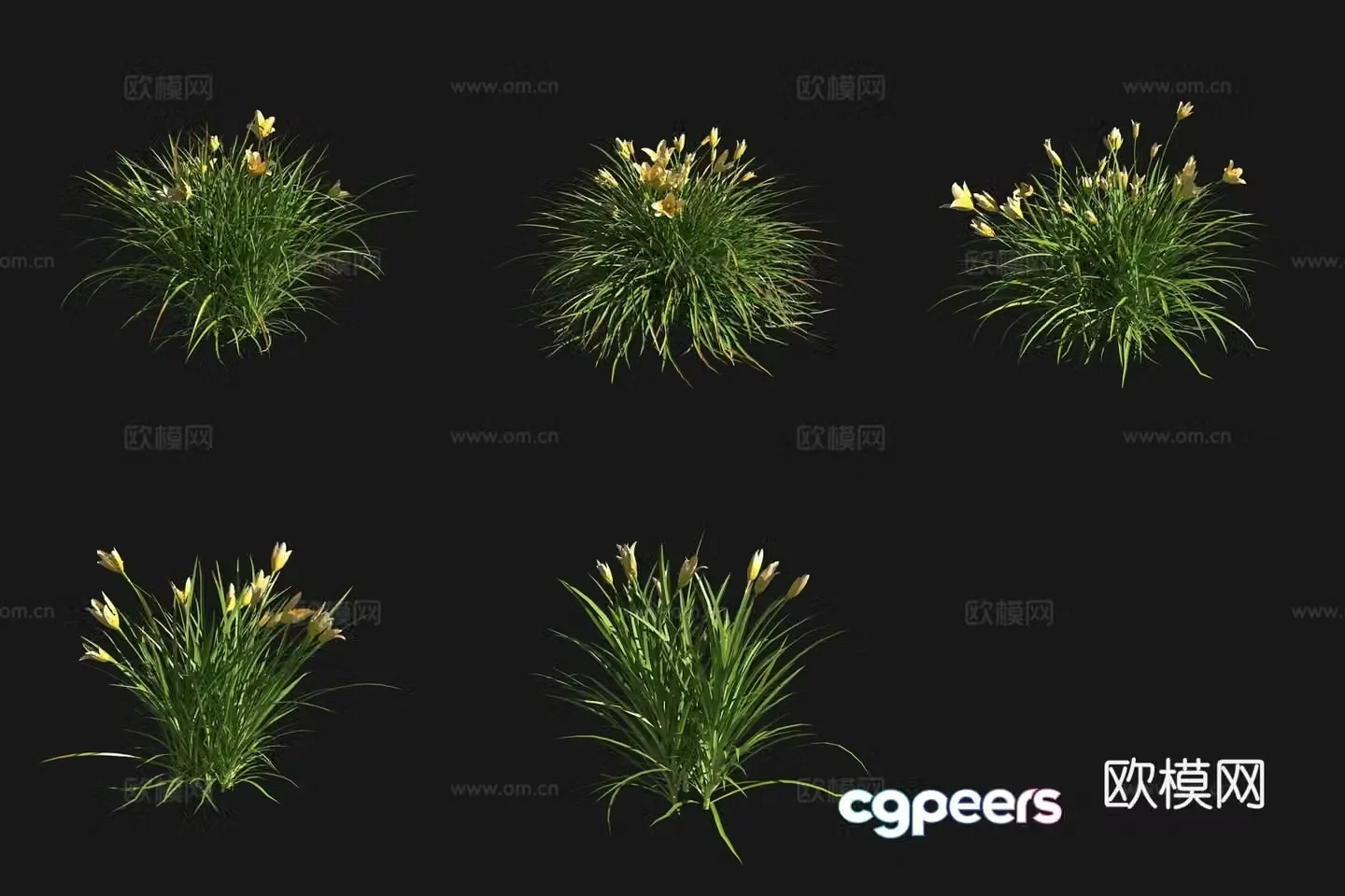 Daylily flower grass and shrub 3d model