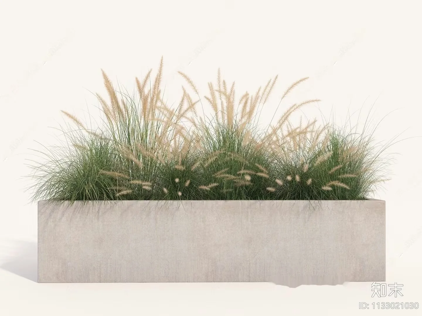 A Rectangular Concrete Planter With Green And Yellow Grass 3D Model – 11185 – VRAY Render